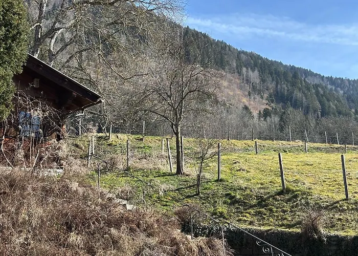 Wohlfuehlen Nahe Dem Millstaetter Apartament *