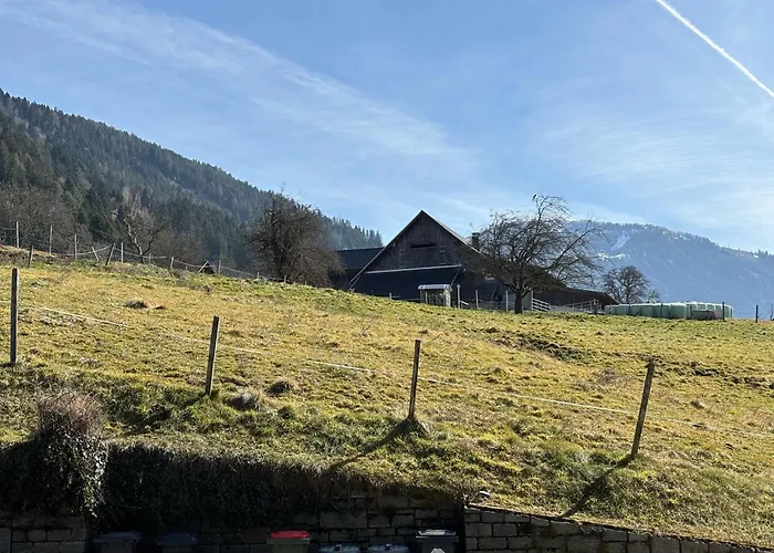 Wohlfuehlen Nahe Dem Millstaetter Apartament *